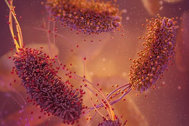 Soil Bacteria (News Central TV)