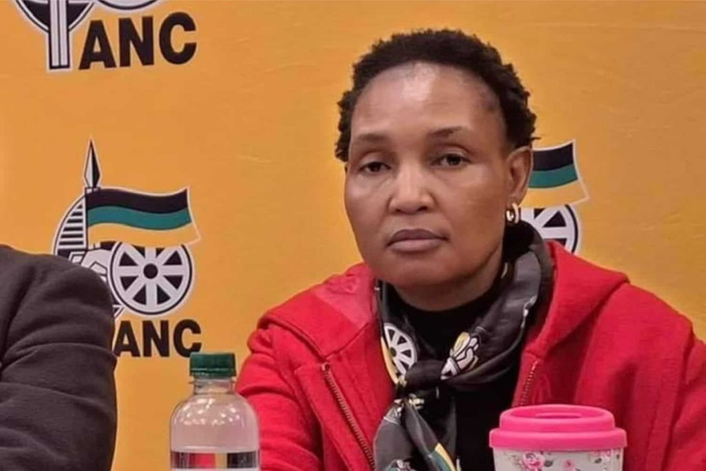 South Africa Justice Minister to Resign Over Graft Scandal