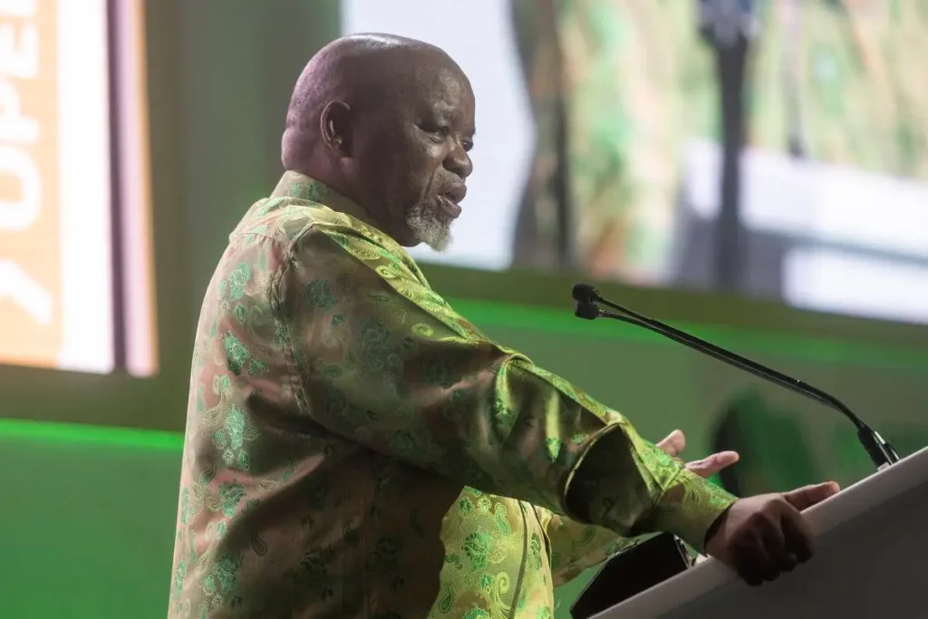 South Africa Open to Nuclear Deals with Russia and Iran, Says Minister