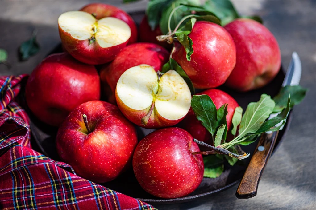 South African Apples Return to Thailand After 16 Years