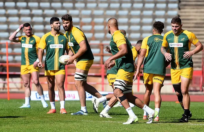 Springboks (News Central TV)