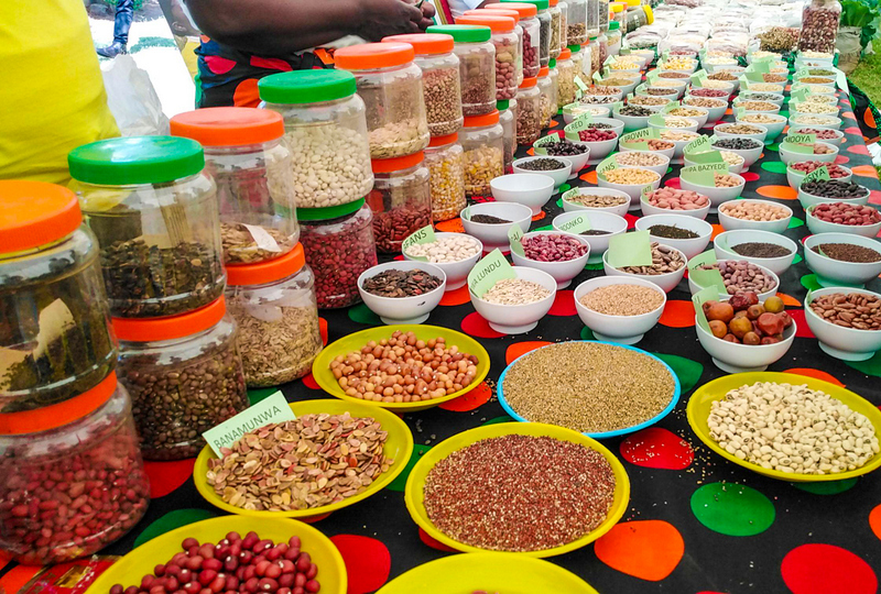 Tech Transforms How Africa Markets Its Harvest