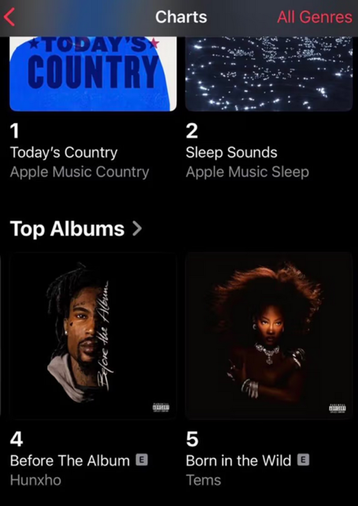 Tems Achieves Milestone on Apple Music US with Debut Album