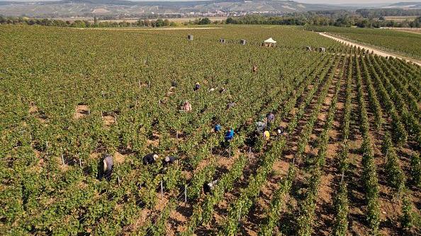 Trafficking (News Central TV)