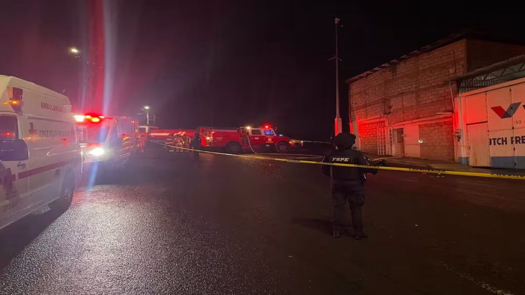 *Twelve Killed in Fire at Drug Rehabilitation Centre in Mexico