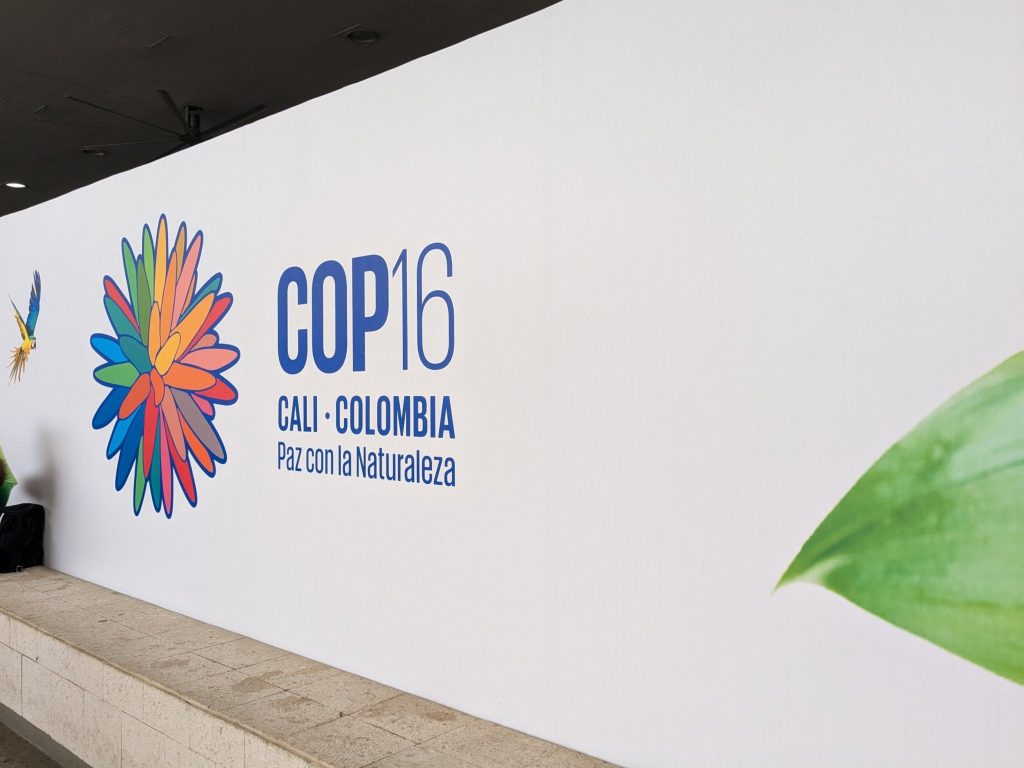 UN Announces Resumption of COP16 Biodiversity Talks in February