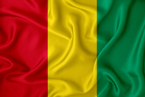UN Raises Alarm on Disappearances of Opposition Figures in Guinea