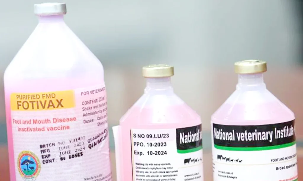 Uganda's Ministry Warns Against Fake FMD Vaccines (News Central TV)