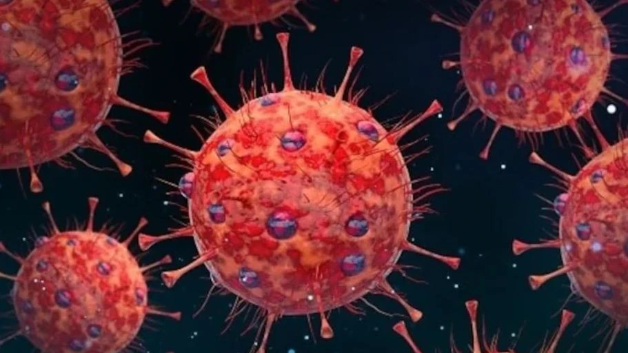 Unknown Illness Kills 50 in Democratic Republic of Congo