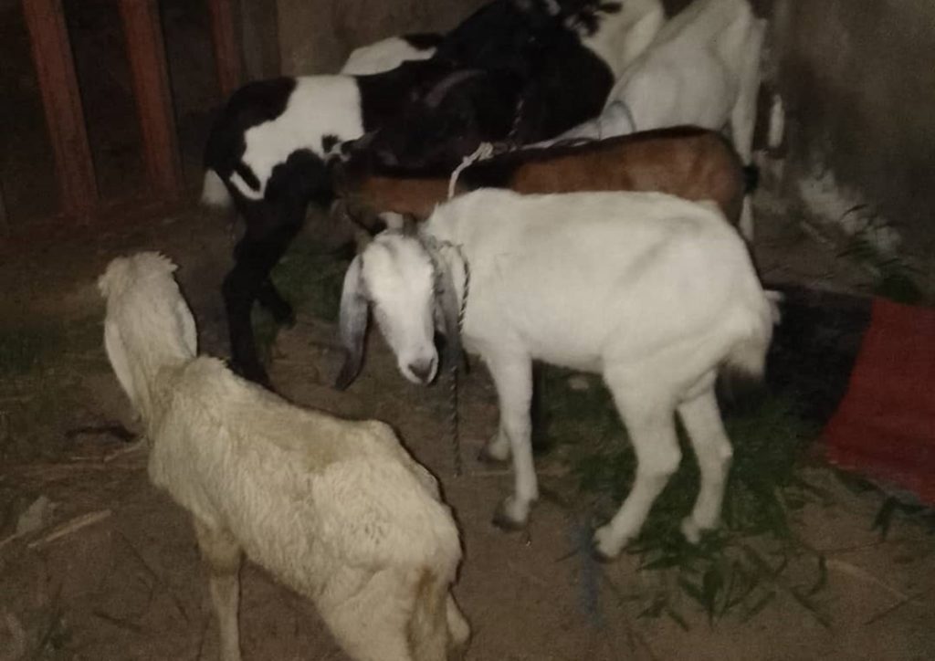 MNJTF Foils Boko Haram Operation in North East Nigeria