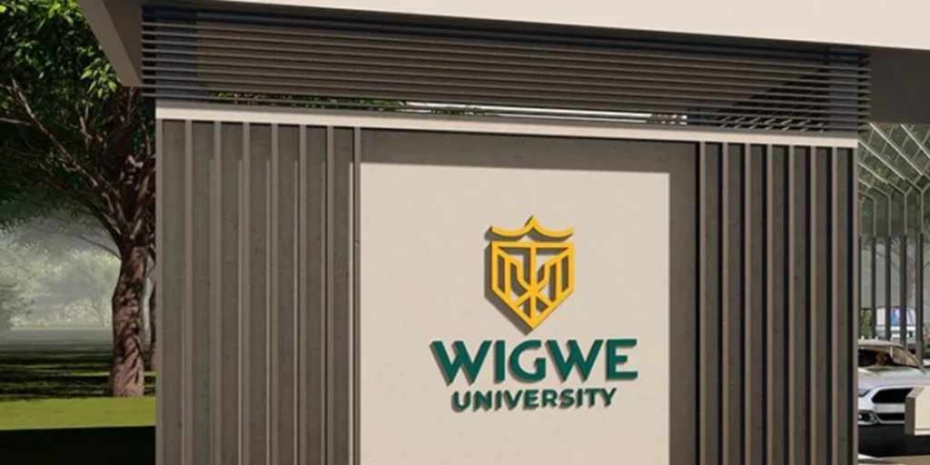 Wigwe University will receive its first set of students in August