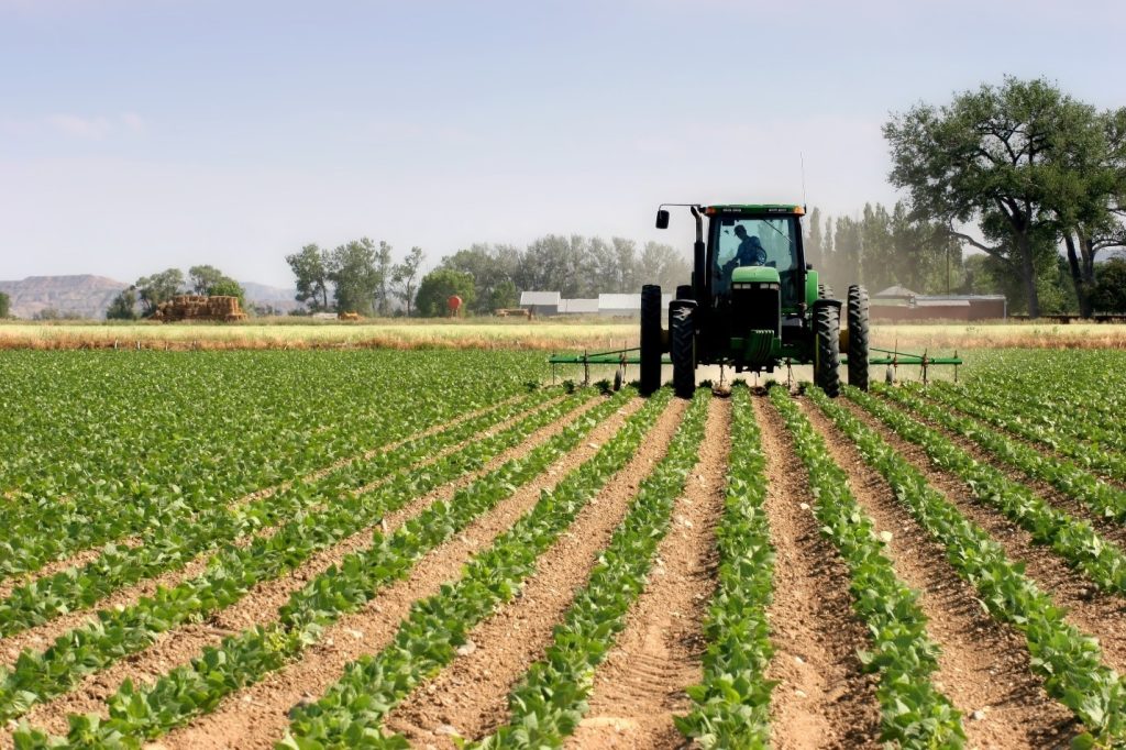 World Bank Backs Climate-Smart Farming in Yobe with ₦3.8 Billion Loan