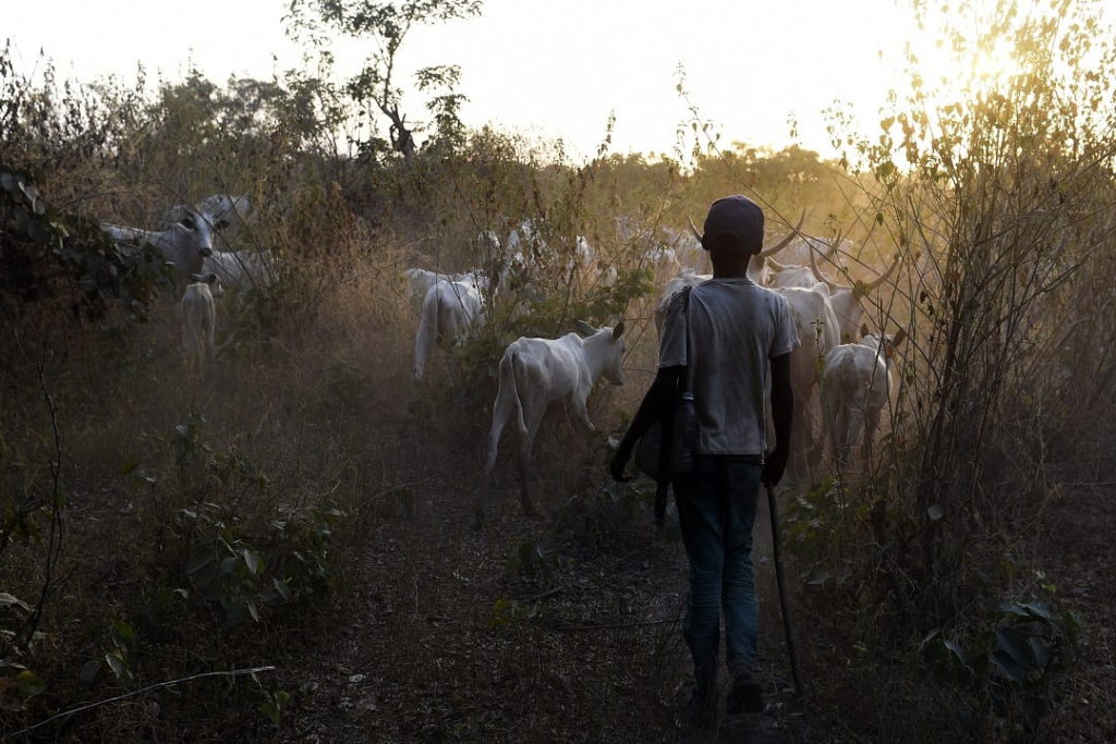 Suspected Herders Kill Five Farmers in Ondo State