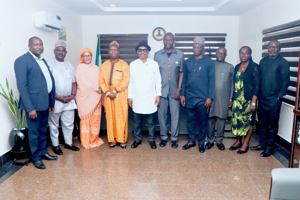 Telecom Infrastructure in Nigeria Must Adhere to Environmental Laws — NESREA