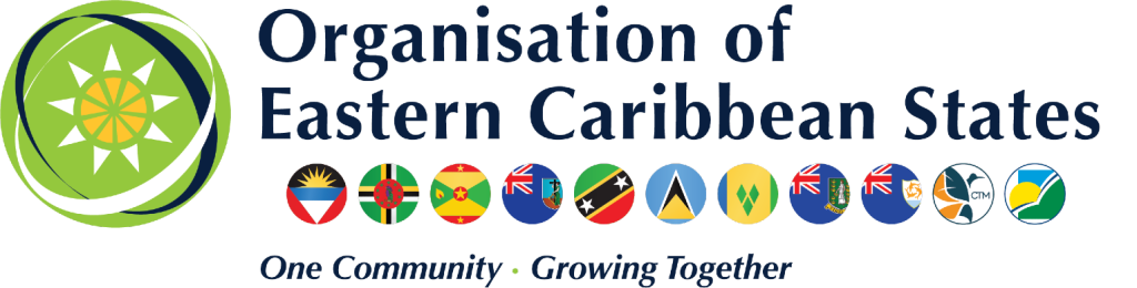 Tinubu (News Central TV)