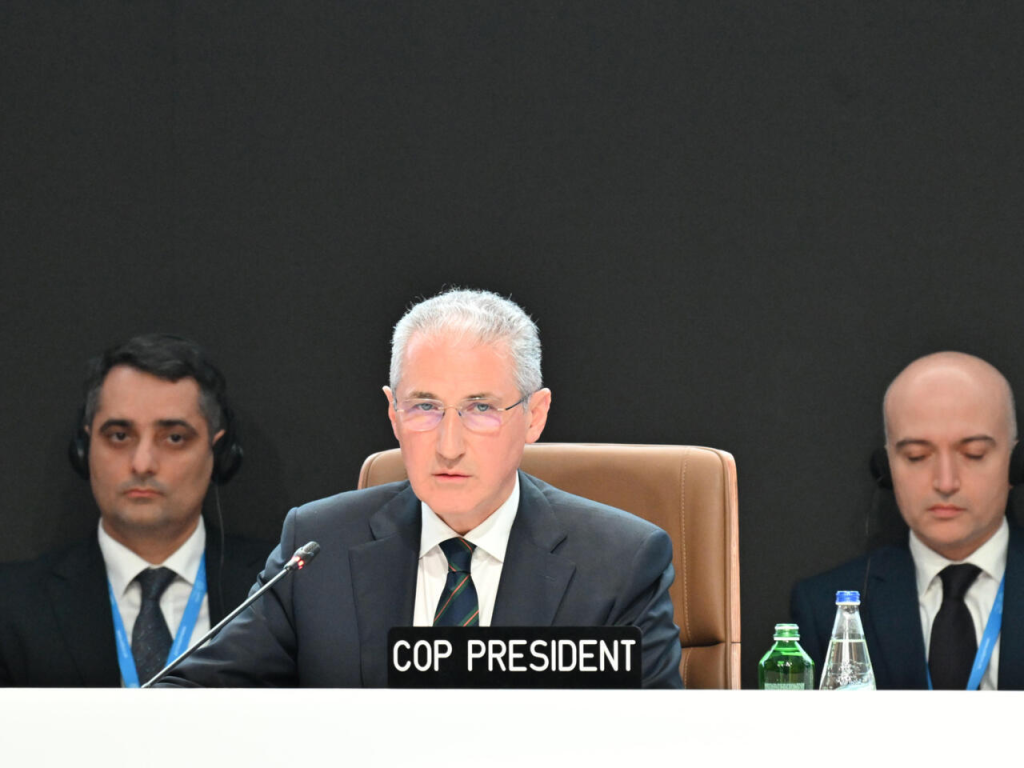 COP29 President Faults Developed Nations for $300 Billion Deal