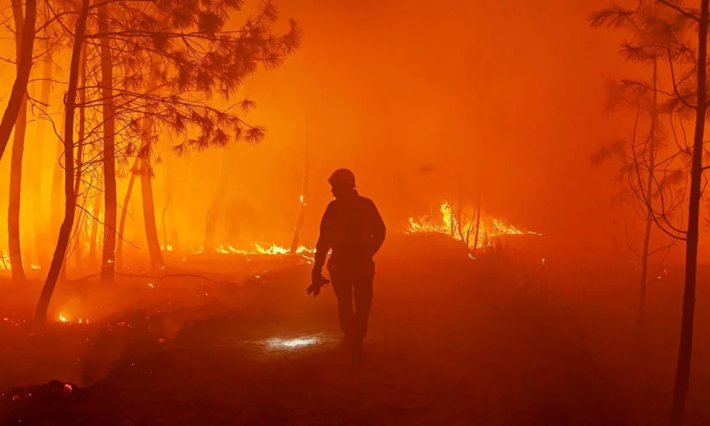 Wildfire (News Central TV)